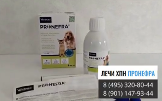 пронефра купить