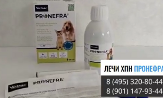 пронефра купить