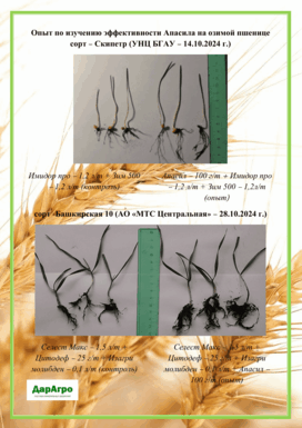 Примеры испытаний применения удобрения Апасила в Республике Башкортостан