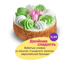 Замороженный торт "Двойная сладость" Во-Какой 600 гр. дистрибьютер в Уфе - ООО "Гермиона"