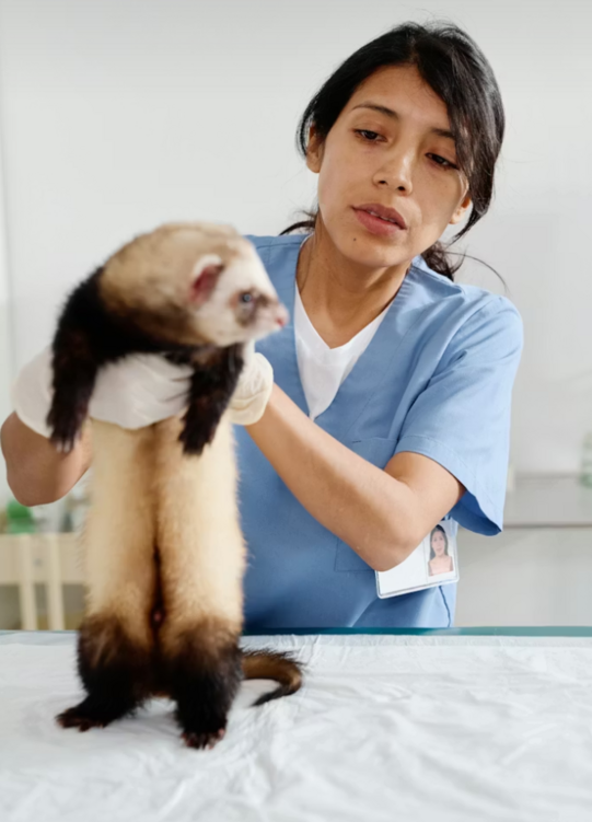 Пронефра при разных стадиях ХБП