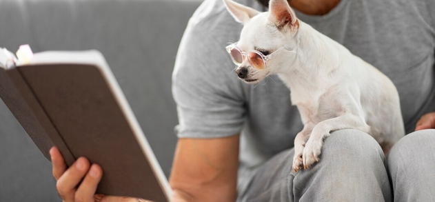 ипакитине аналог