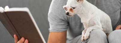 ипакитине аналог