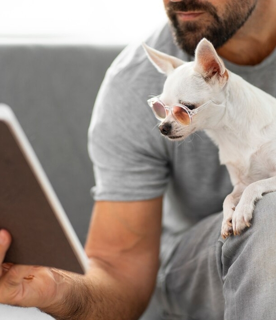 Инфографика механизма действия Ипакитина в кишечнике