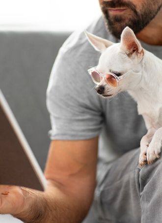 Инфографика механизма действия Ипакитина в кишечнике