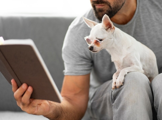 Инфографика механизма действия Ипакитина в кишечнике