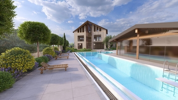 Пышные деревья, обрамляющие дорожку к дому