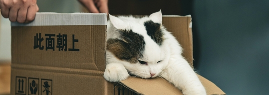 Спокойный прием лекарства Пронефра