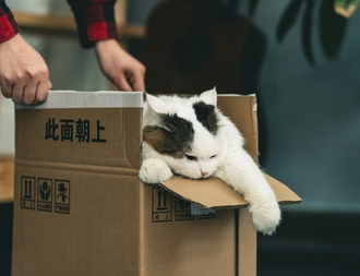 Спокойный прием лекарства Пронефра