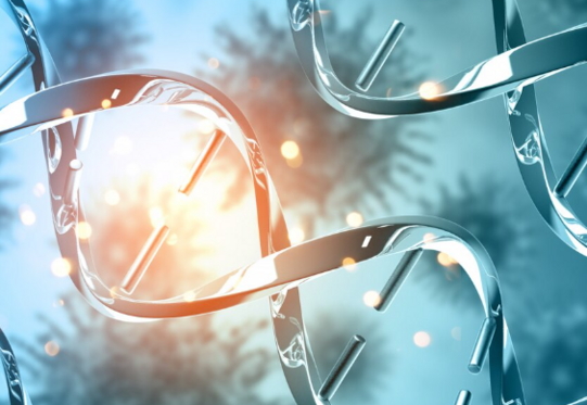 Как свободные радикалы лишают кожу молодости и красоты