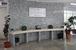 Spa&Camp Фестиваль воздухоплавания в Переславле