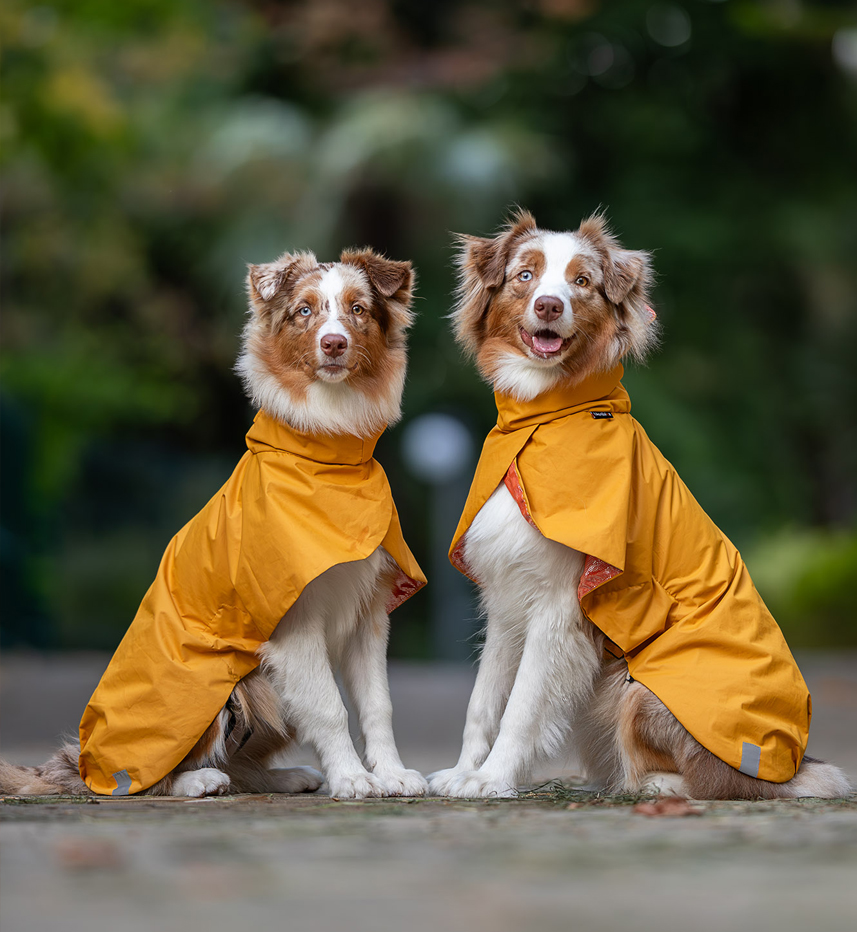 All breed Clothes