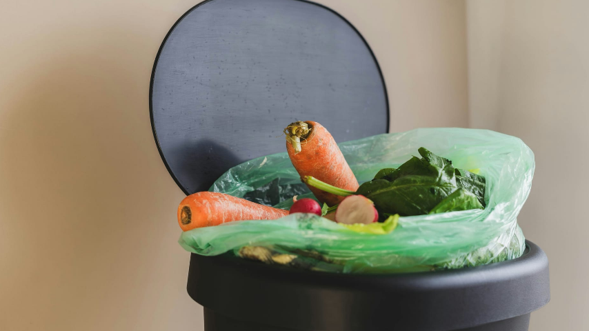 вывоз пищевых отходов