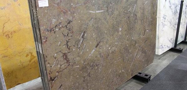 мрамор brown fossil