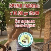 📱 068791643 Tăiere plotter, tăierea contururilor din folie autocolantă, vinil. Servicii de tăiere pe plotter. Comandă, preț Moldova, Tiraspol, Chișinău, Bender, Bălți, Anenii Noi, Comrat, Orhei, Ungheni.