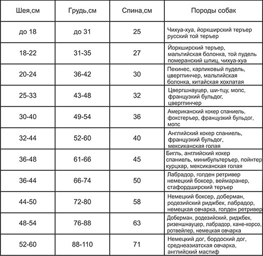 таблица размеров собак