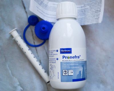 Клинические рекомендации по приему и совместимости Пронефра с другими противовирусными лекарствами, таблетками, препаратами и диетой