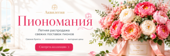 Баннер Аквилегия: Пиономания — летняя распродажа свежих поставок пионов