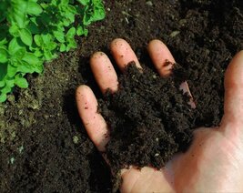 Плодородный грунт с доставкой в Рыбинске купить