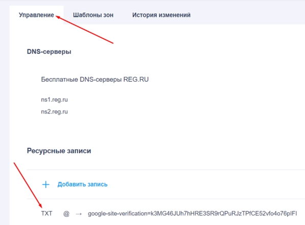 Как выглядит добавленная TXT-запись в настройках домена в reg.ru