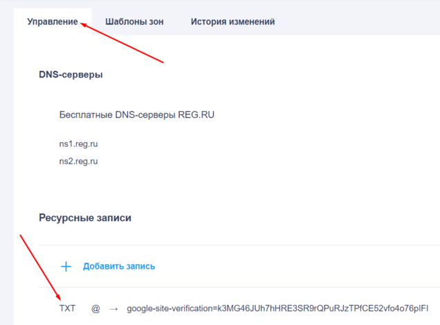 Как выглядит добавленная TXT-запись в настройках домена в reg.ru