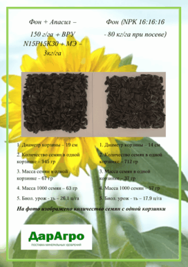 Примеры испытаний применения удобрения Апасила в Республике Башкортостан