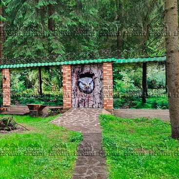 Фотосетка Фотосетка с повторяющим рисунком и пейзажем (природа, лес, панорамы)-01