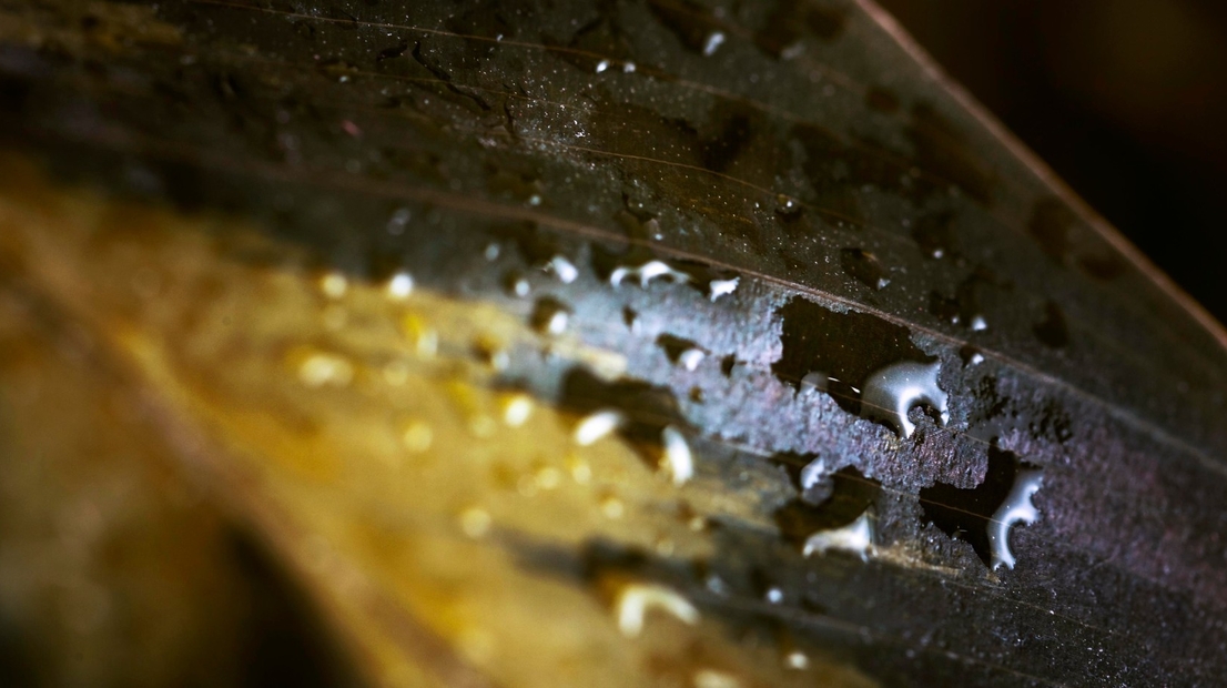 Скорость резания металла