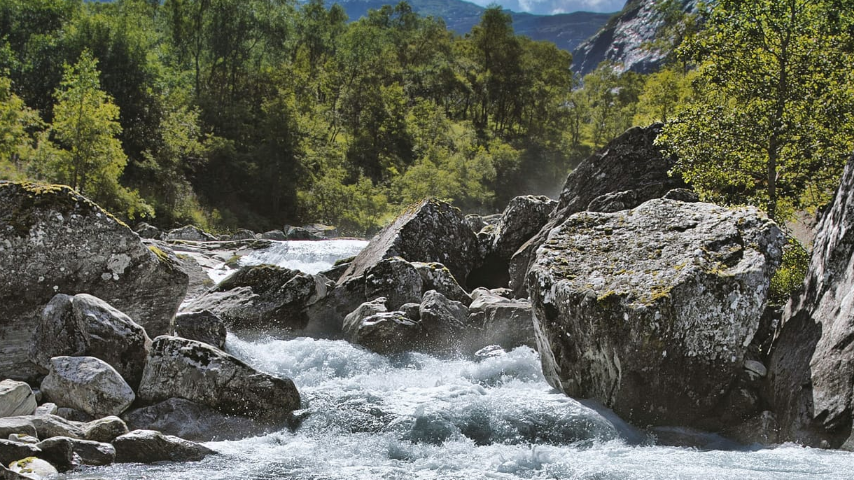 отходы 1 класса опасны для природы