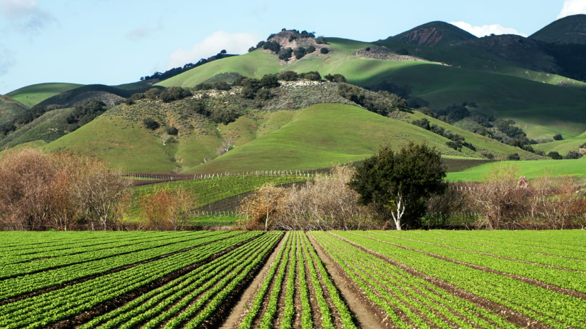 экологическая компания эталон