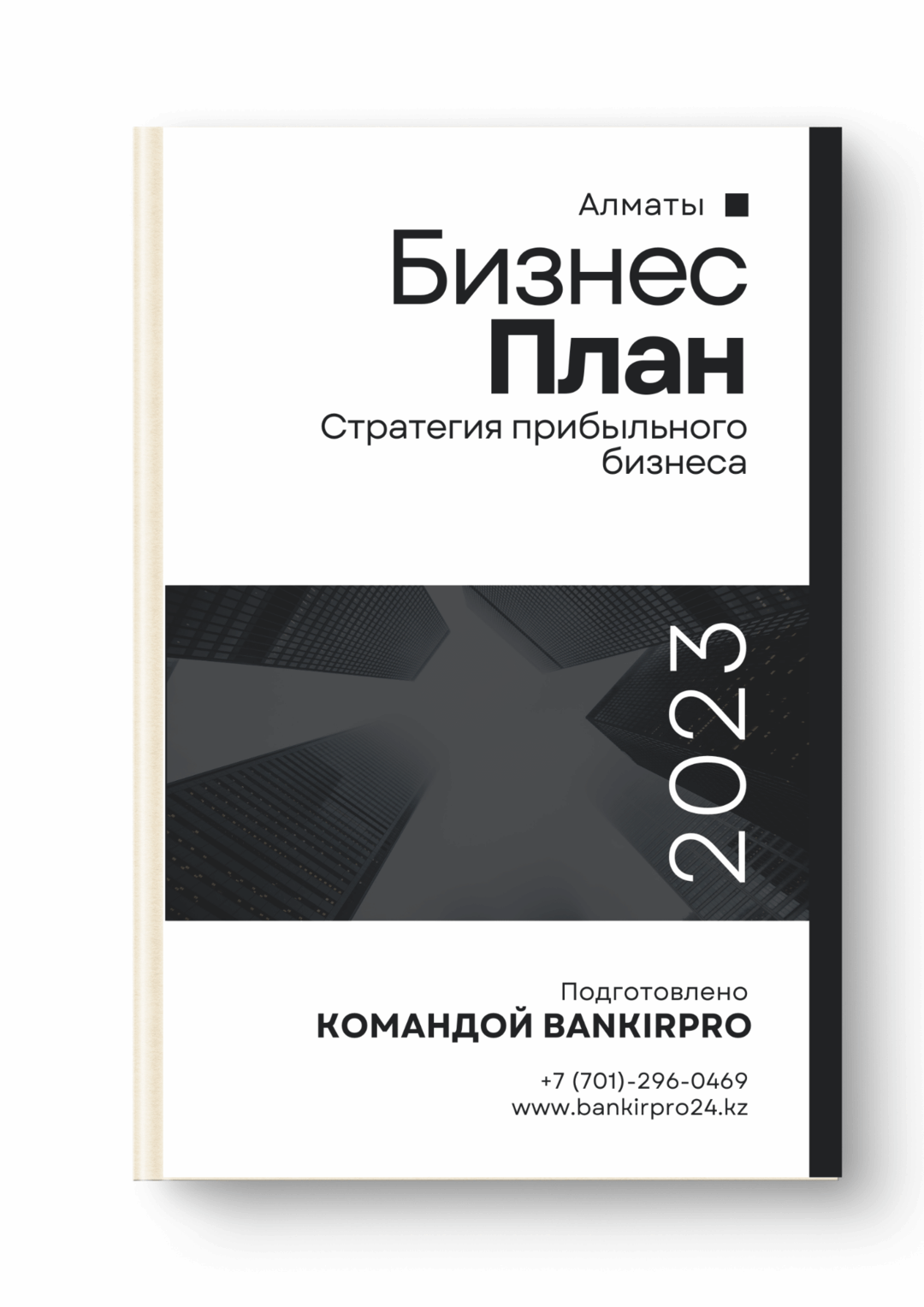 готовим бизнес-планы под любые задачи