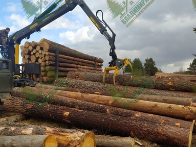 Погрузка бревн сосны от 18 диаметра на распил