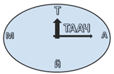 таачтайм