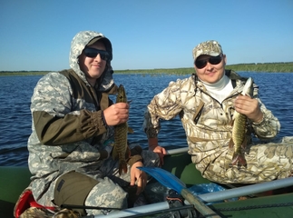 Как открыть веб-студию с франшизой