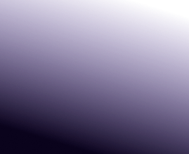 Фон курсов киношколы