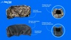 Чехол для лодочного мотора 9.9 15