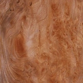 Натуральный шпон Ильм корень (Elm Burl)