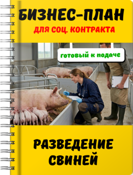 Бизнес-план для социального контракта - Разведение свиней