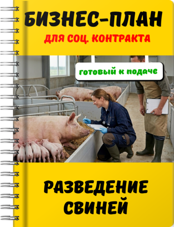 Бизнес-план для социального контракта - Разведение свиней