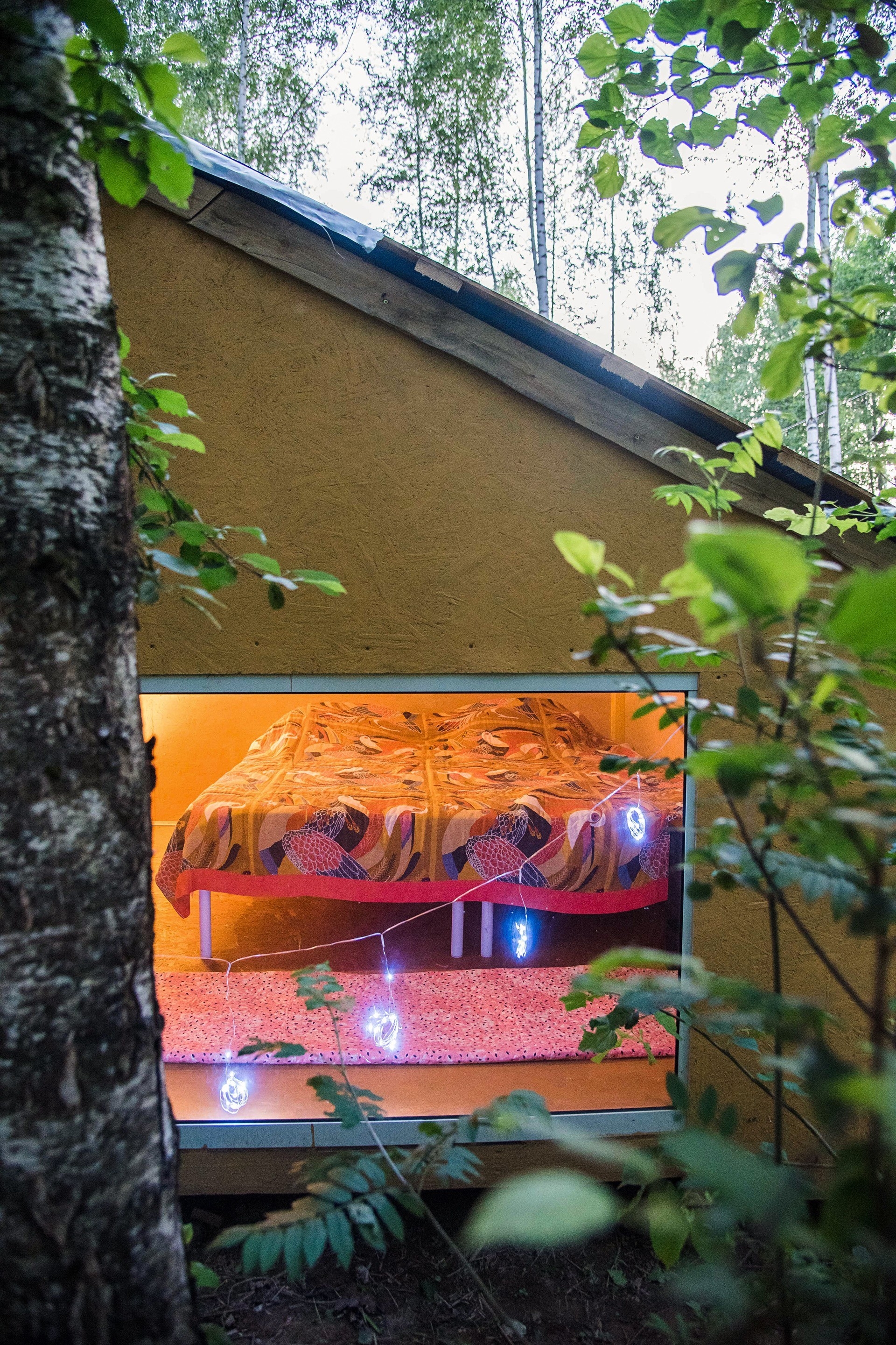 Четвероногие гостят у нас бесплатно