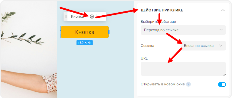 Ввод ссылки в кнопку в mottor