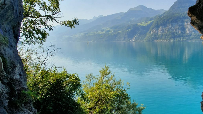 отходы 1 класса опасны для природы