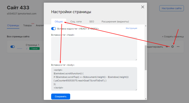 Пример вставки кода цели в настройках страницы в интерфейсе mottor