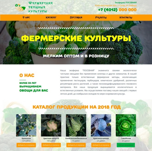 Создание сайта с корзиной
