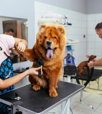 Ветеринарный центр Саратов