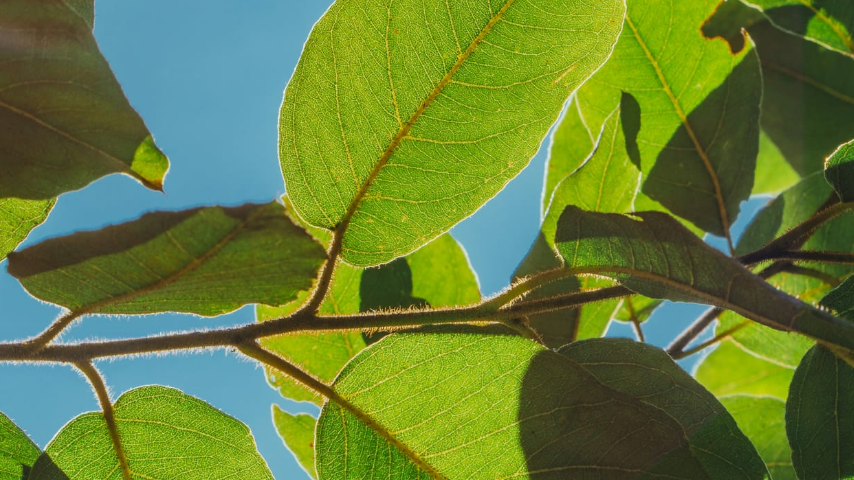 экология охраняет природу