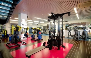 Тренажерные залы и фитнес-клубы