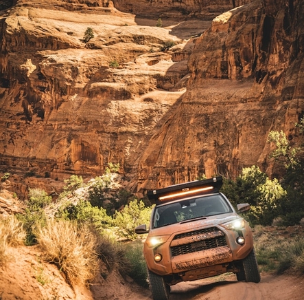 Врач рекомендует Осполот: минимизируйте эффекты, купите сейчас