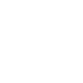 Благотворительный марафон Добролапус