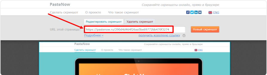 Получение ссылки на скриншот в Pastenow
